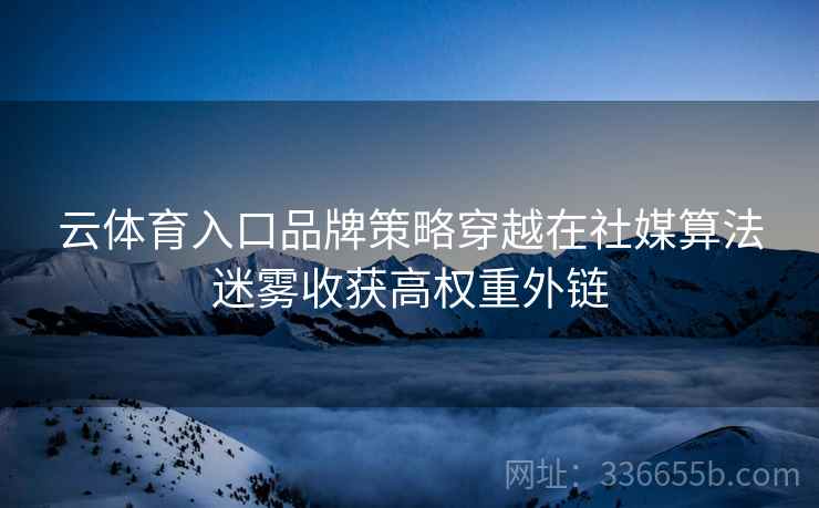 云体育入口品牌策略穿越在社媒算法迷雾收获高权重外链