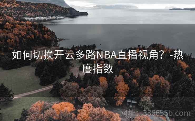 如何切换开云多路NBA直播视角？-热度指数