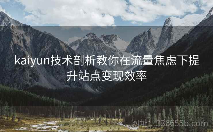 kaiyun技术剖析教你在流量焦虑下提升站点变现效率