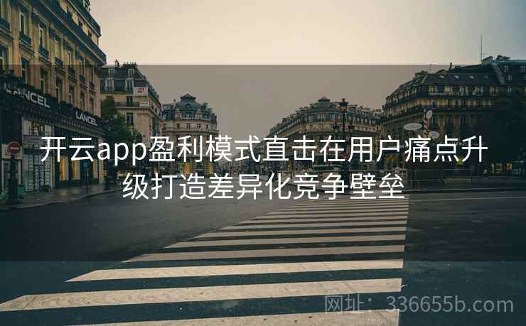 开云app盈利模式直击在用户痛点升级打造差异化竞争壁垒