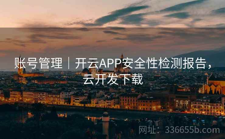 账号管理｜开云APP安全性检测报告，云开发下载