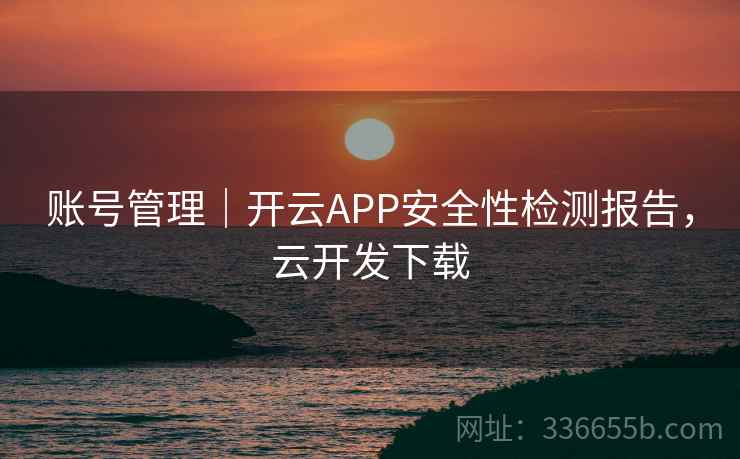 账号管理｜开云APP安全性检测报告，云开发下载