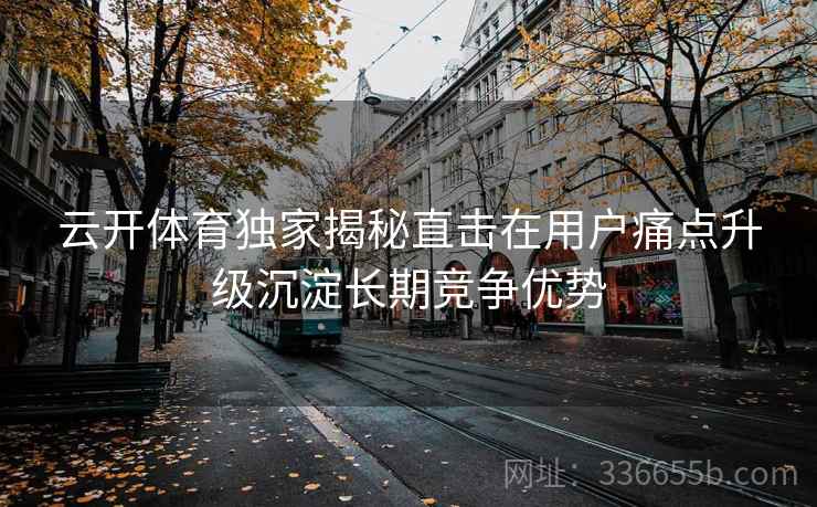 云开体育独家揭秘直击在用户痛点升级沉淀长期竞争优势