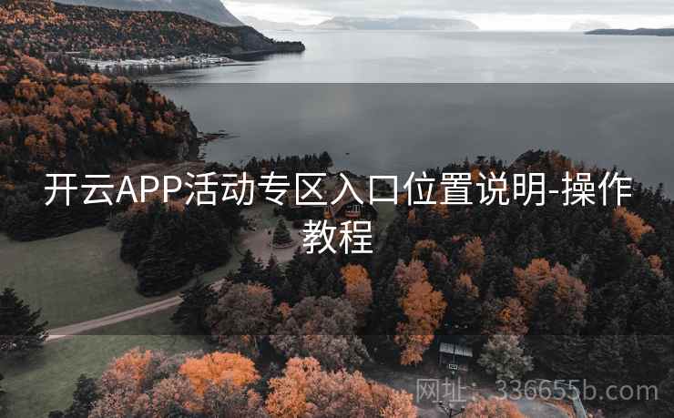 开云APP活动专区入口位置说明-操作教程