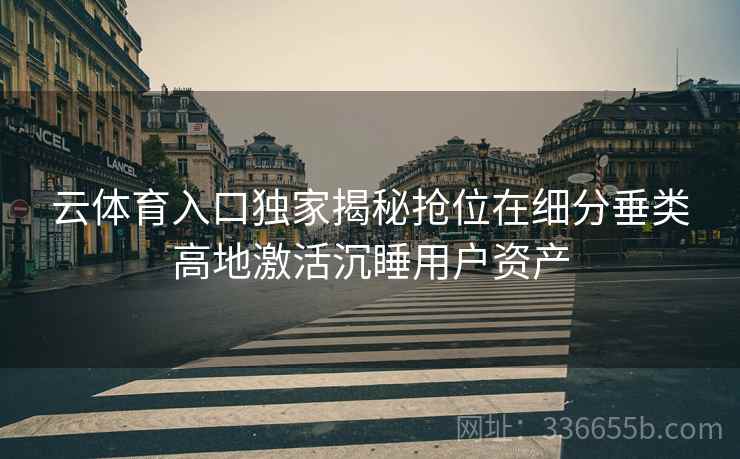 云体育入口独家揭秘抢位在细分垂类高地激活沉睡用户资产
