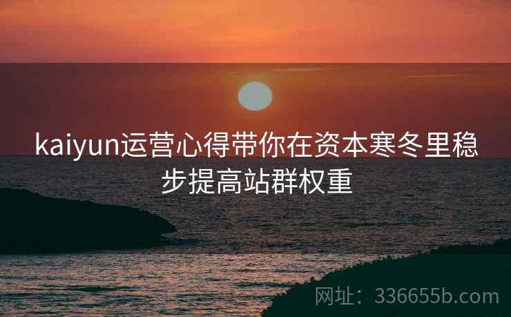 kaiyun运营心得带你在资本寒冬里稳步提高站群权重