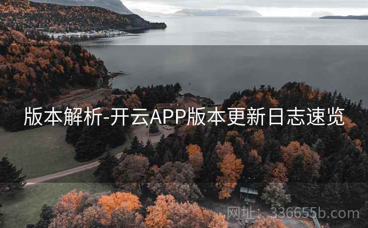 版本解析-开云APP版本更新日志速览