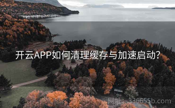 开云APP如何清理缓存与加速启动？
